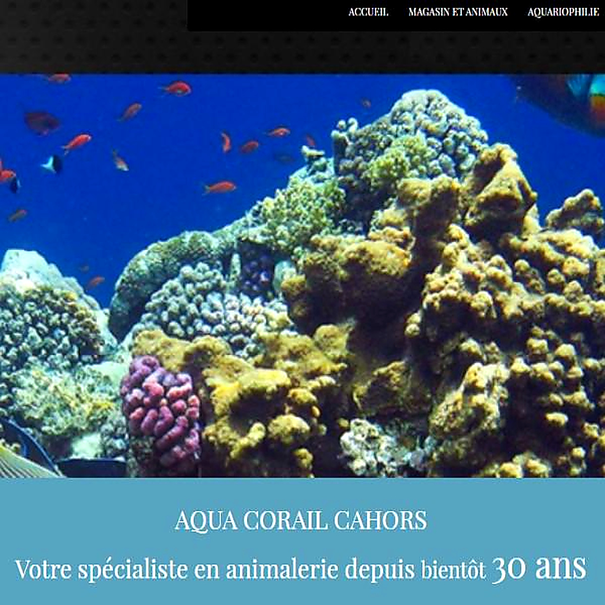 Site Aqua Corail